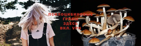 гашишное масло Белокуриха