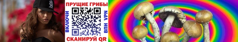 Псилоцибиновые грибы ЛСД  Купить закладки  Луга 